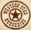 Western Star